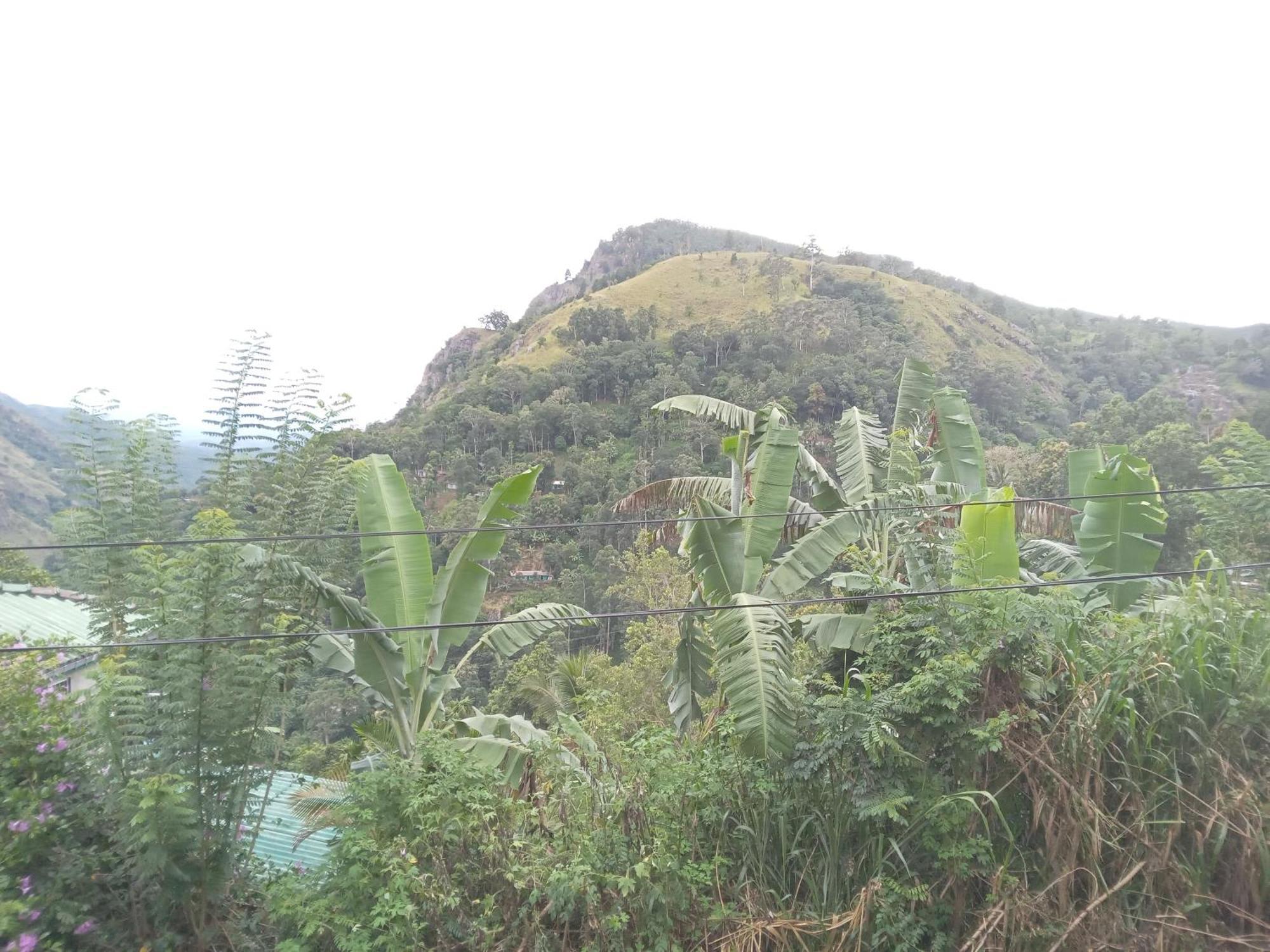 Chamodya Home Stay เอลลา ภายนอก รูปภาพ