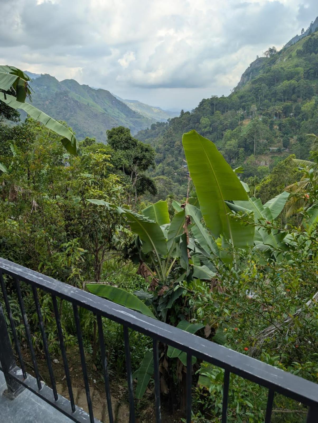 Chamodya Home Stay เอลลา ภายนอก รูปภาพ