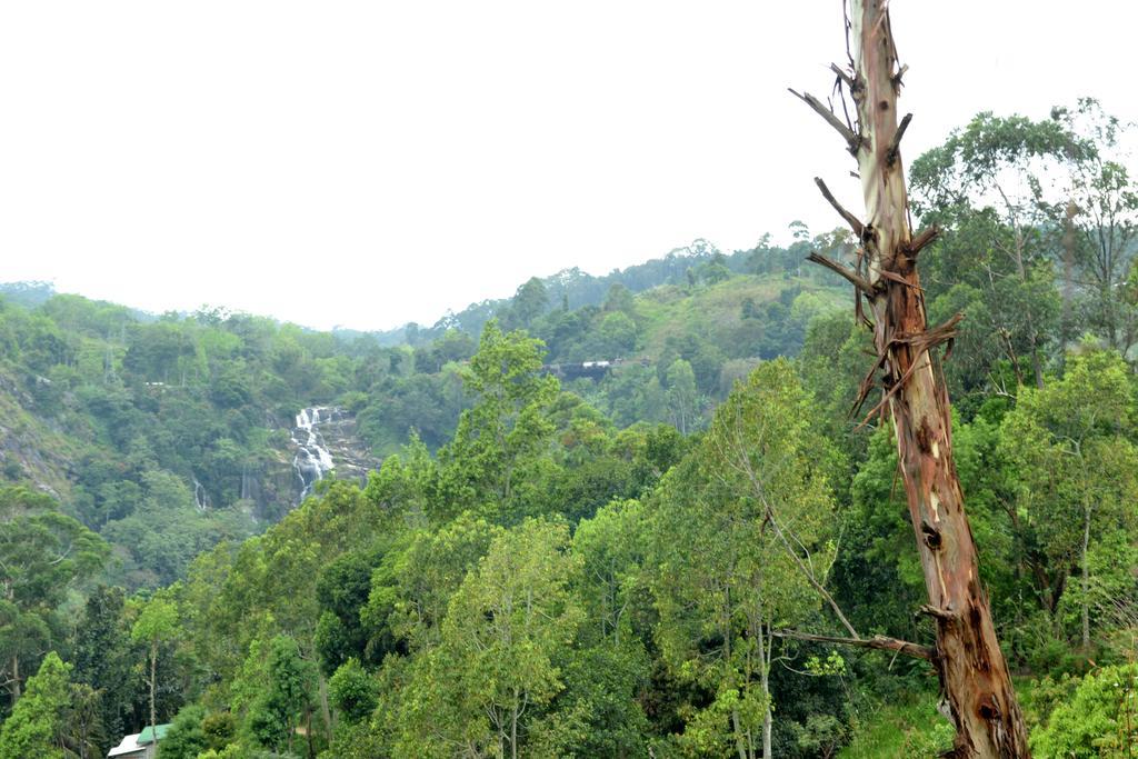 Chamodya Home Stay เอลลา ภายนอก รูปภาพ